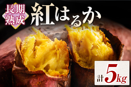 長期熟成 紅はるか 計5kg 宮崎県都城市産 さつまいも サツマイモ