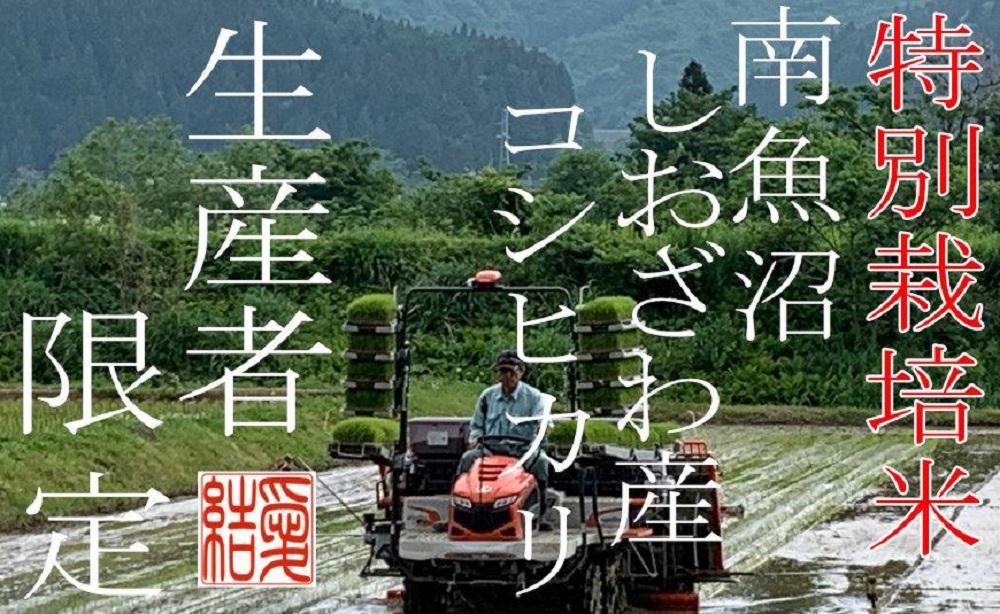 【令和7年産】【定期便4Kg×6ヶ月】【特別栽培米】 契約生産者限定  南魚沼しおざわ産コシヒカリ【2025年10月上旬より順次発送予定】