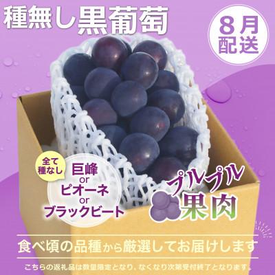 ふるさと納税 笛吹市 【発送月固定定期便】2026年発送 黒葡萄 シャインマスカット全2回 |  | 01