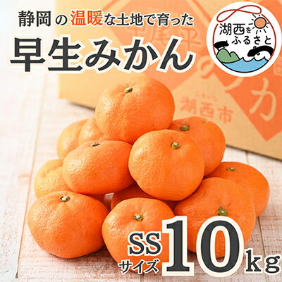 【ふるさと納税】【先行予約】【11月上旬より順次出荷予定】早生みかん約10kg SSサイズ〔鈴木農園〕【1510124】
