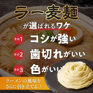 ラー麦麺の醤油ラーメン15食_ラー麦麺 醤油ラーメン 15食 こだわり 生麺 醤油 ラーメン スープ ラー麦 麺 コシ 強い 歯切れ 色 細麺 茹で時間 1分ほど お好み ねぎ チャーシュー トッピン