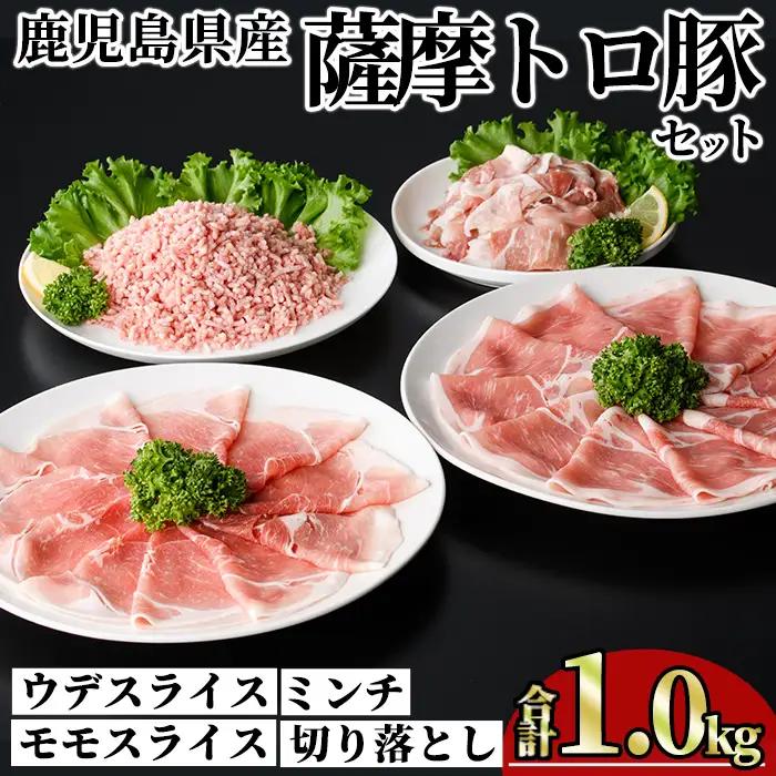 鹿児島県産 薩摩トロ豚 モリモリ おためしパック (合計1.0kg)  【KNOT】A1038