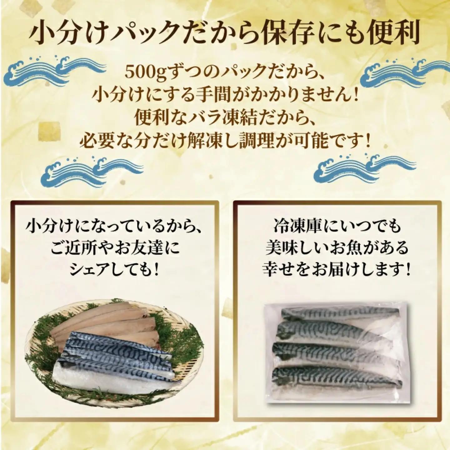 訳あり 塩鯖 1kg 鯖