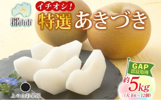 特選 あきづき 約5kg 大玉 6～12個 なし 梨 ナシ もぎたて 甘い 旬 果物 GAP 認証 産地直送 贈り物 贈答用 送料無料 上の山 彩果園 福島県 郡山市