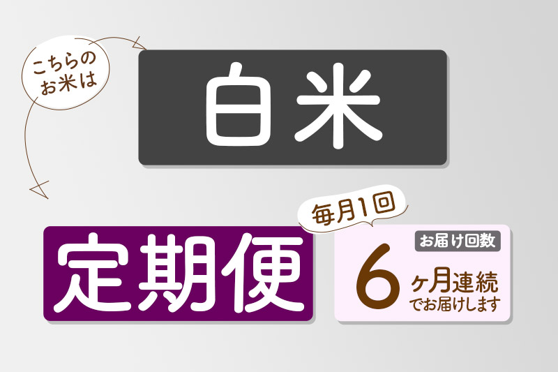 【白米】《定期便6回》令和7年産 真田のコシヒカリ小松姫 プレミアム 5kg×1袋 金井農園