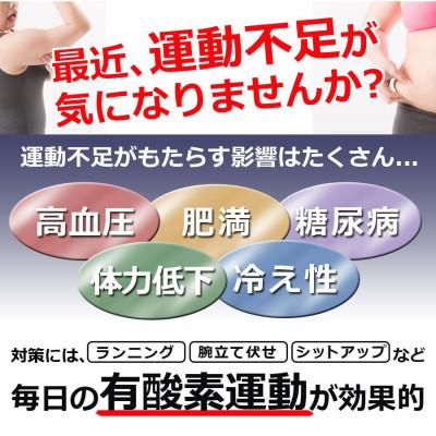 ふるさと納税 大河原町 ステッパー フィットネス SunRuck SR-FT028[53753661] |  | 01