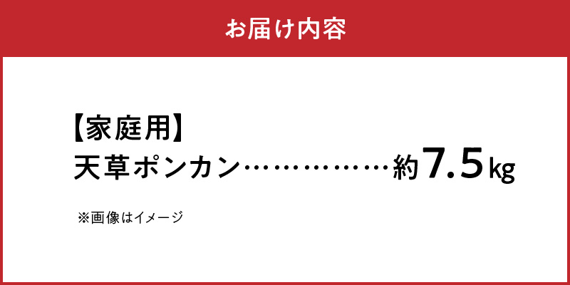 S040-008_農家の手摘み天草ポンカン約7.5kg 家庭用〈先行受付〉