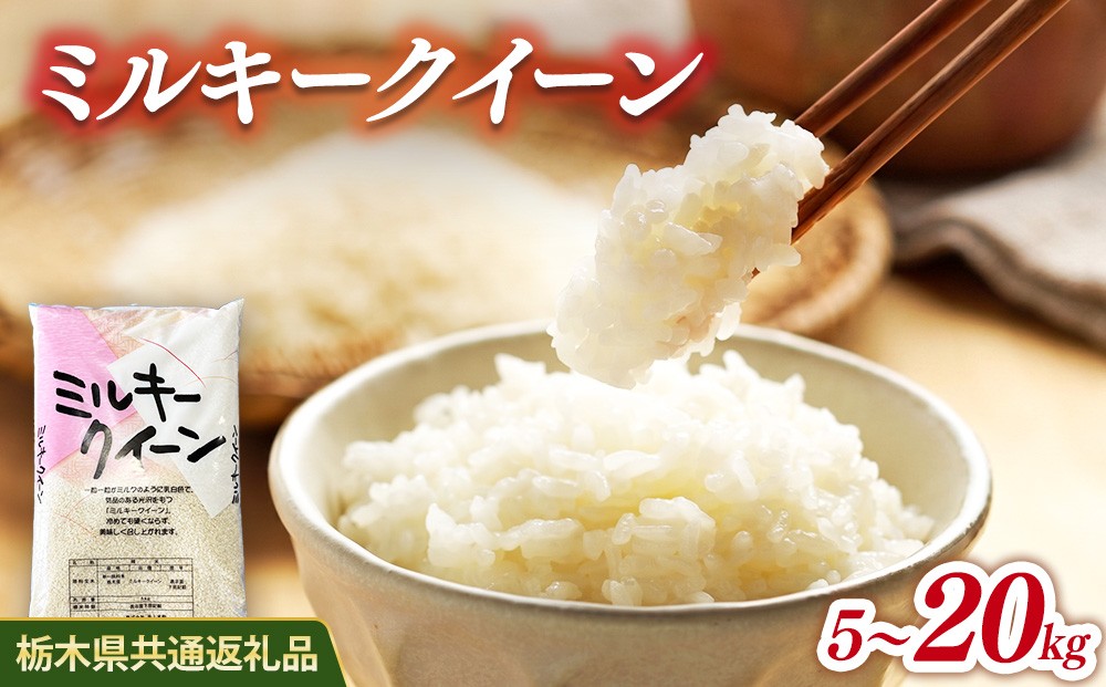 
                  【選べる内容量】米 ミルキークイーン 5kg/10kg/20kg 栃木県産【栃木県共通返礼品】
                