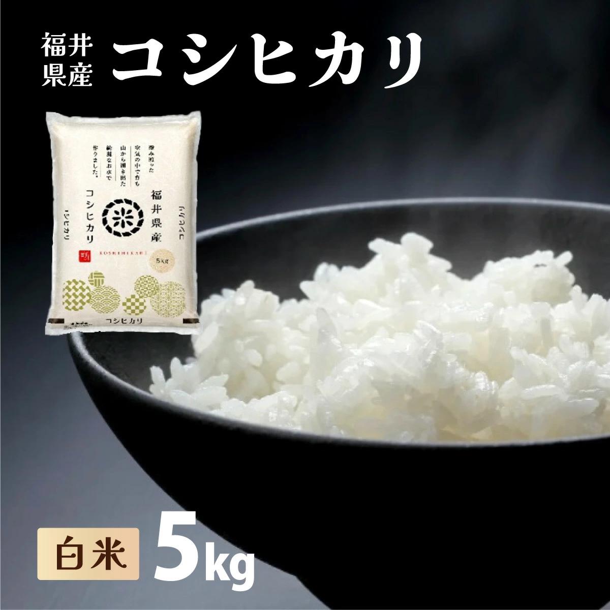 福井県産 コシヒカリ 精米 5kg（5kg×1）＜令和7年産 / 数量限定 ＞【米 コメ お米 精米 白米 無洗米 玄米 ご飯 飯 こしひかり ブランド米 国産】[095-a002_B]【敦賀市ふるさと納税】