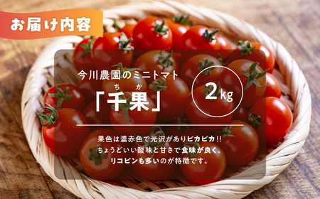 【ふるさと納税】【先行予約】今川農園のミニトマト 2kg 先行予約受付 期間限定 季節限定 野菜 国産 完熟 やさい フルーツ トマト 完熟 千果 ミニトマト プチ お弁当 贈り物 おやつ サラダ 送