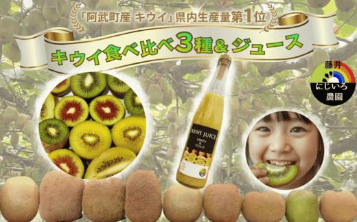 
                   【先行予約】キウイ フルーツ 食べ比べ アソート 3種 約1.4kg ＆ キウイ ジュース 500ml （ 果汁 70％ ） セット 阿武町産 キウイ トリプル ジュースセット フルーツ 果物 詰め合わせ 山口県産 【お届け：2026年11月中旬～2027年2月下旬頃 出荷予定】
                
