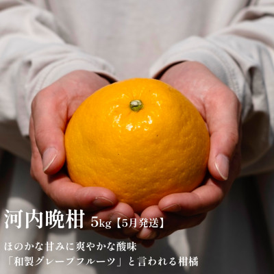 【発送月固定定期便】愛媛の美味しい人気柑橘5品種 甘平・せとか・河内晩柑等【H70−43】全5回【4055162】