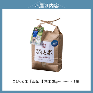 こぴっと米【五百川】2kg　１等特別栽培米100％