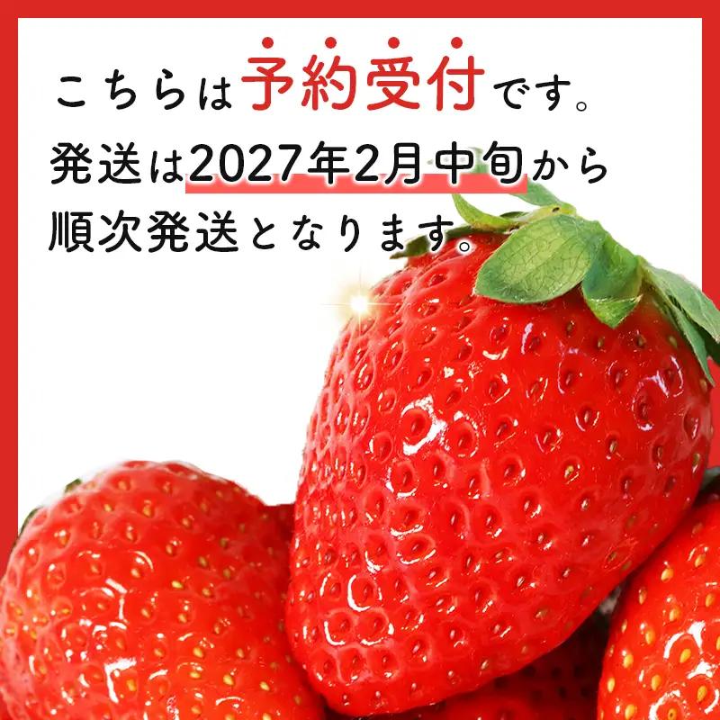 苺 【2027年2月中旬以降発送】 250g×6P 1.5kg 先行予約 かおり野 苺