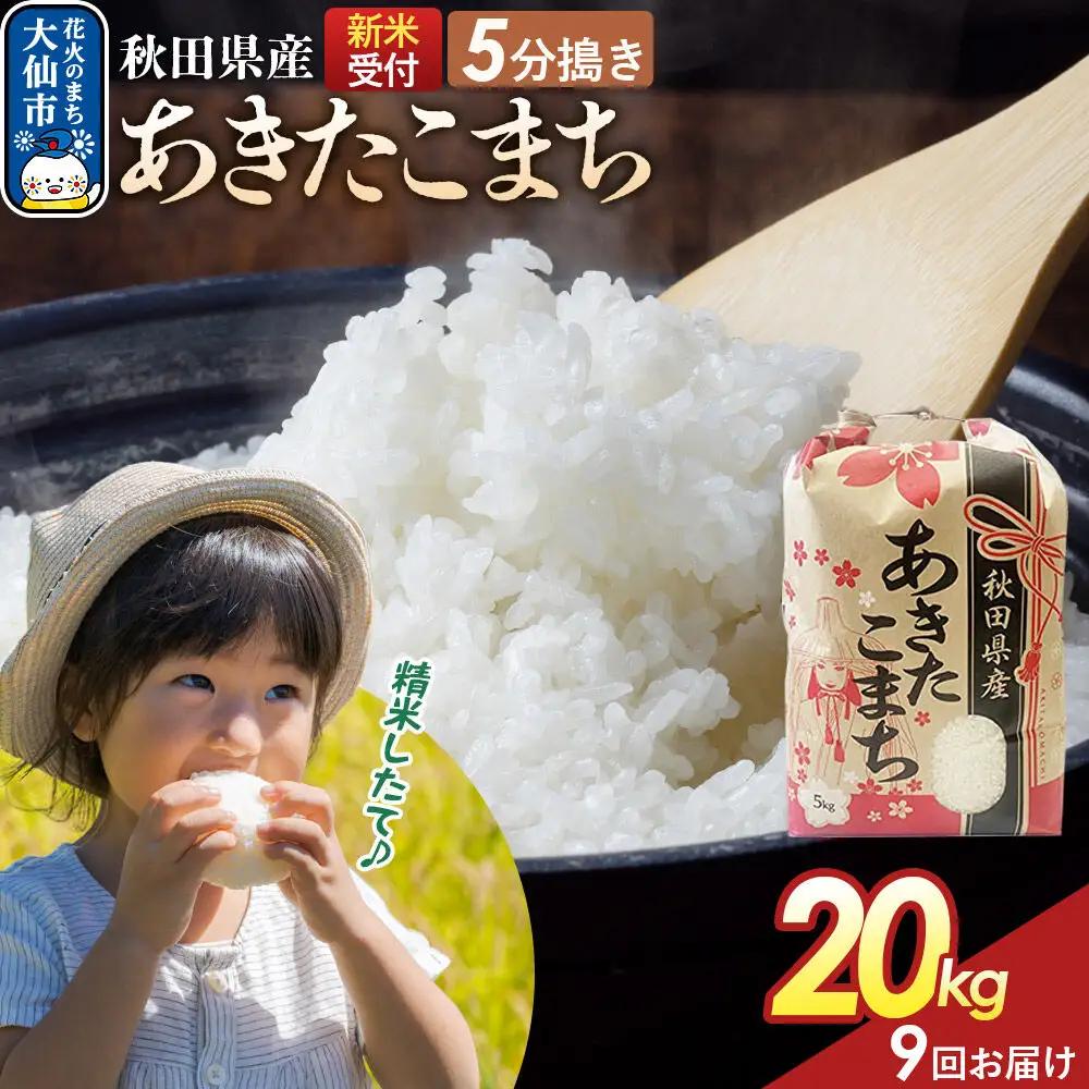 《令和8年産新米予約》 《定期便9ヶ月》【5分搗き】あきたこまち 20kg（5kg×4） 秋田県産 こまちライン 秋田県 大仙市産