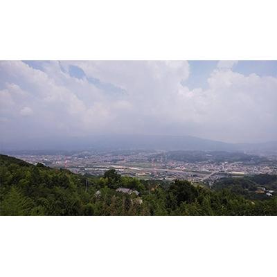 ふるさと納税 橋本市 富有柿12個入り(2Lサイズ) |  | 01