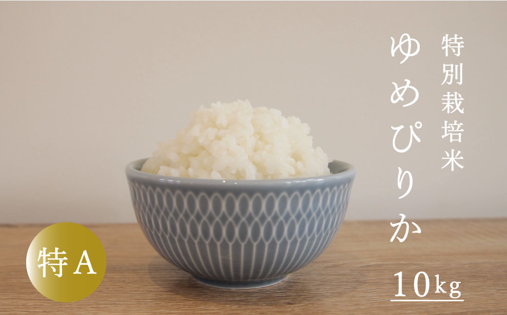 【令和7年産先行受付】特別栽培米ゆめぴりか 10kg 北海道当麻町 舟山農産 減農薬 低農薬【AB-017】