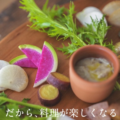 【毎月定期便】しあわせ野菜畑の有機野菜　Lセット　(安心の有機JAS認証　オーガニック野菜)全6回【配送不可地域：離島・北海道・沖縄県・四国・九州】