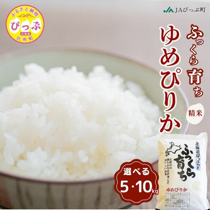 【ふるさと納税】令和7年産 新米 ゆめぴりか 精米【JAぴっぷ町】選べる容量 5kg 10kg 米 お米 北海道産 北海道米 特Aランク 国産 白米 コメ 北海道 比布町 ぴっぷ