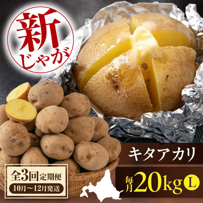 【ふるさと納税】先行予約 定期 新じゃが キタアカリ 20kg ▼全3回 定期便 《喜茂別町》【Aコープようてい】 先行予約 ジャガイモ じゃがいも 新じゃが 新じゃがいも 野菜 季節の野菜 秋野菜 詰め合わせ 北海道 北海道産 産地直送 定期便 [AJAK020] 45000 45000円