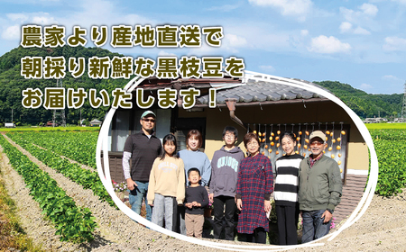【早期予約/2026年10月発送】丹波篠山黒枝豆 800g(400gx2袋) 黒枝豆 小分け CD100