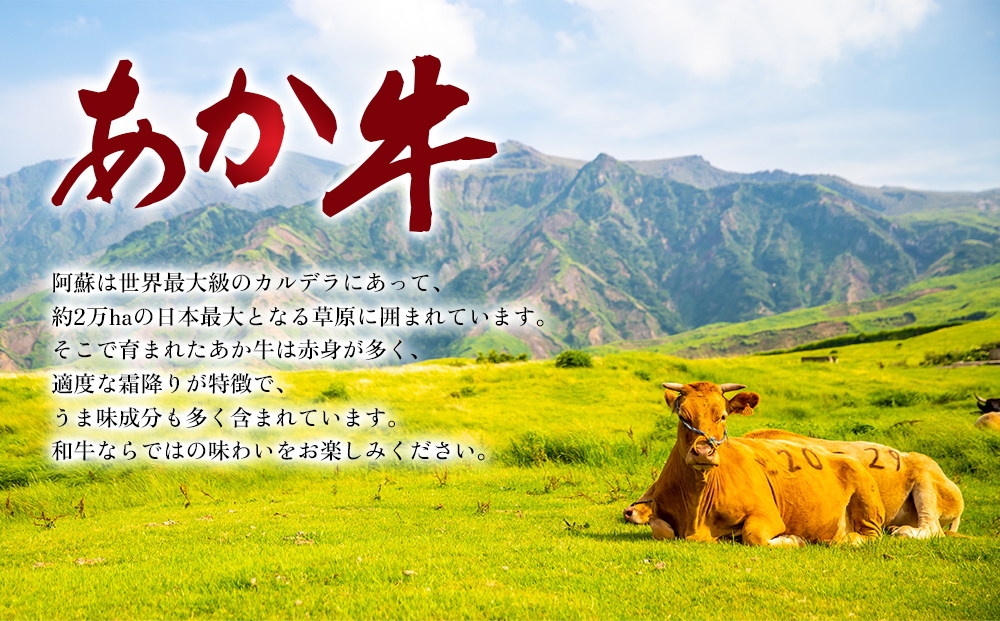 【すき焼き用】あか牛ならではの赤身とモモとバラを交互に詰め合わせ！