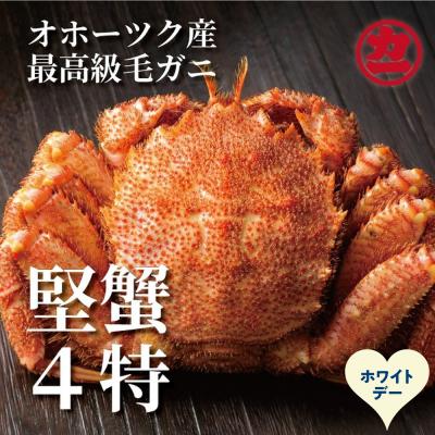 ふるさと納税 紋別市 【ホワイトデー】ボイル毛がに(約440g〜570g)×1尾