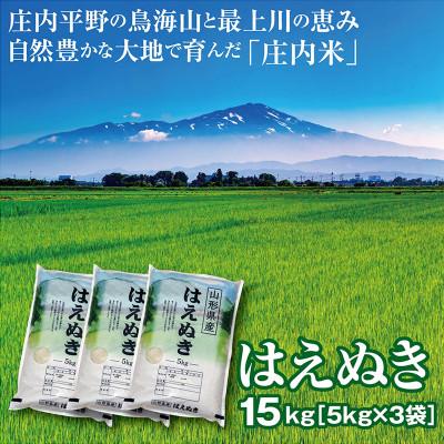 ふるさと納税 酒田市 令和7年産　山形県の米どころ庄内平野で育った庄内米　はえぬき15kg(5kgを3袋)