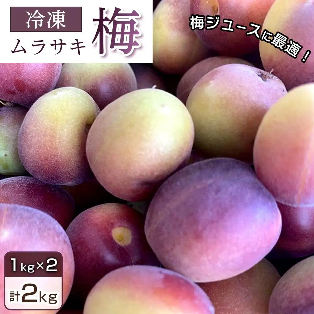［数量限定］綺麗な紫色のジュースができます！紀州特産 冷凍紫梅 2kg