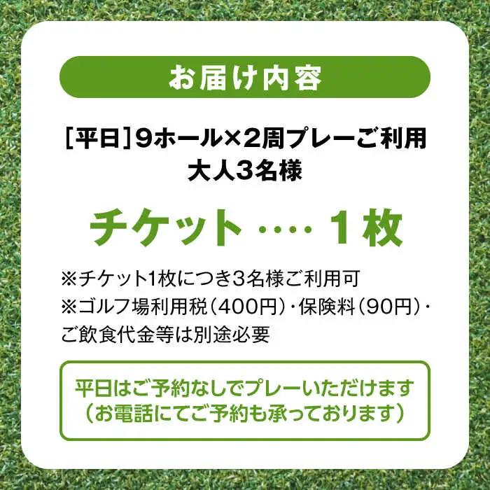 平日大人３名様９ホール２周ゴルフプレー券 ／ ゴルフ 【(株)葉山産業】 高額 [ASAS005]