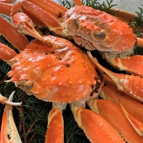 【さかなや新鮮組】鳥取県産 訳あり 浜茹で松葉ガニ1.0kgセット ご家庭用 漁港直送【配送不可地域：離島・北海道・沖縄県・東北・信越、北陸】【1759406】