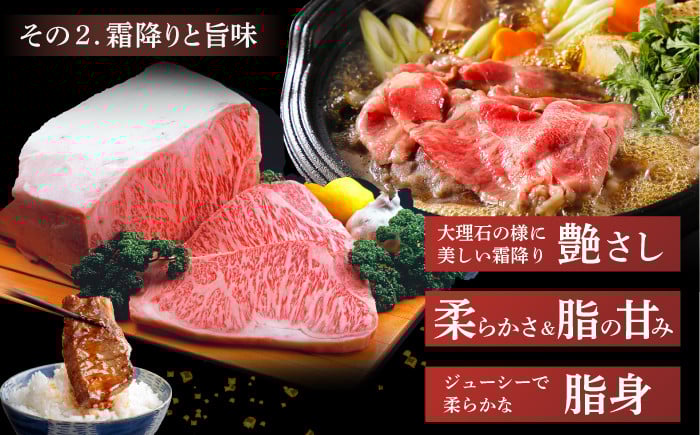佐賀牛 和牛 国産牛 ロース モモ カタ バラ 個包装 小分け