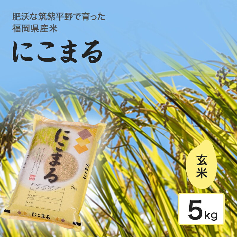 【ふるさと納税】米 肥沃な筑紫平野にて育った 福岡県産米 にこまる 玄米 5kg お米 コメ 令和7年度産