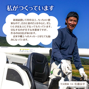 SE0402　令和7年産 【無洗米】 ひとめぼれ 10kg(5kg×2袋) 農家直送・鳥海山麓やわたの米 TR