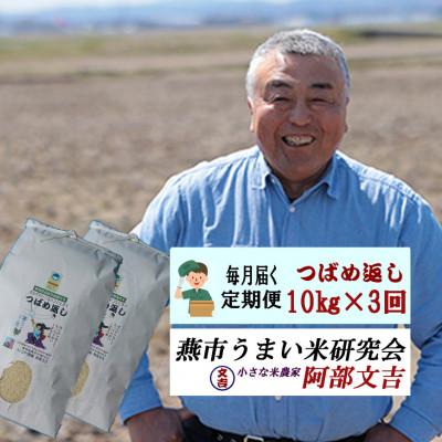 ふるさと納税 燕市 【毎月定期便】おかずのいらないコシヒカリ「つばめ返し」白米10kg(5kg×2)全3回 |  | 01