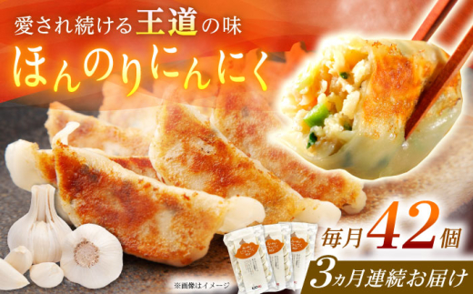 【全3回定期便】【3パック】餃子屋ヒロの ほんのりにんにく餃子【餃子屋ヒロ】開成町 餃子 点心 惣菜 冷凍 [BDAS013]