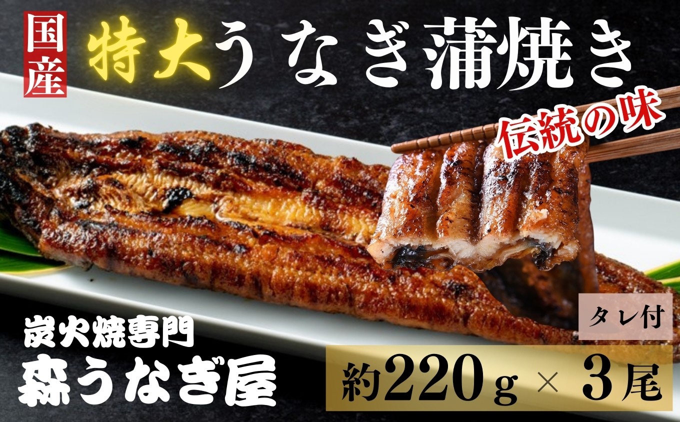 
                  国産 特大 うなぎの蒲焼き 3尾（約220ｇ×3） タレ付き / 鰻 土用丑の日 / 佐賀県 / 株式会社森うなぎ屋 [41AIAE004]
                