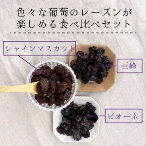 シャインマスカット 巨峰 ピオーネ のレーズン 30g×3袋 食べ比べセット 無添加、砂糖不使用【1508439】