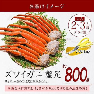ふるさと納税 弟子屈町 ズワイガニ足 約800g 2-3人前 蟹ハサミ・ガイド付 ボイル済み 北海道 弟子屈町 2931 |  | 03