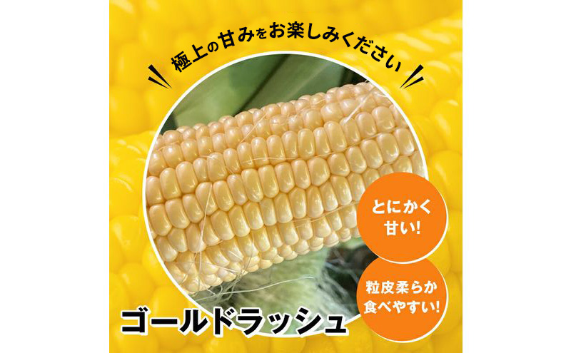 浜松産 スイートコーン ゴールドラッシュ 約5kg 14本～16本入