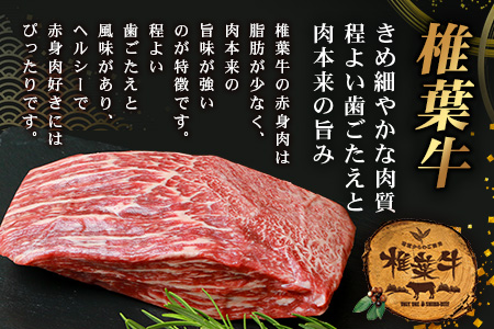 【日本三大秘境の黒毛和牛】宮崎県産 椎葉牛 赤身ももブロック 500g A5等級指定［宮崎 椎葉 国産 国産牛 黒毛和牛 和牛 牛 牛肉 赤身 にく おにく 肉 お肉 500g a5 A5 牛ももブロ