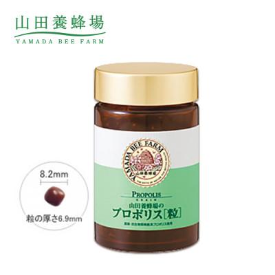 ふるさと納税 津山市 【毎月定期便】プロポリス粒 (486)全12回