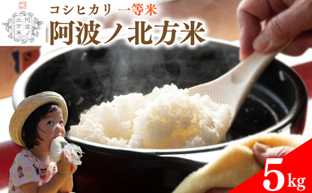 コシヒカリ 5kg 令和7年産 阿波ノ北方米 米 米 米 米