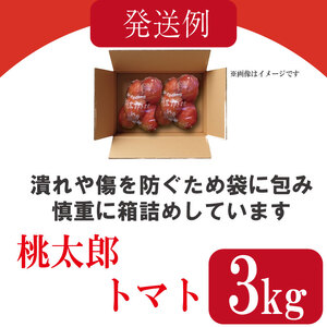 【訳あり】 【2027年3月発送】 桃太郎トマト 約3kg 先行予約 トマト
