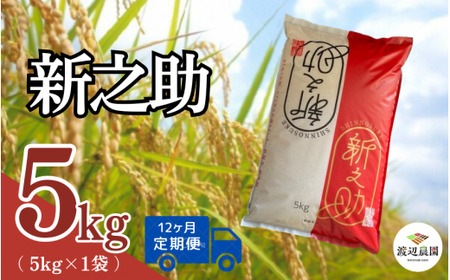 〈12回定期便〉新之助 精米  5kg(5kg×1袋) 渡辺農園