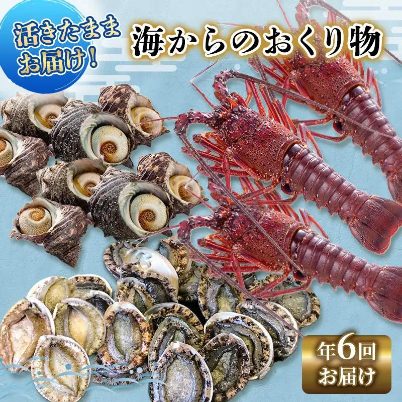 海鮮セット 年6回 定期便 アワビ 伊勢海老 海藻 海鮮セット