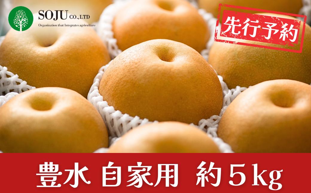 
                  先行予約 和梨 豊水 自家用 約5kg 令和8年度  新潟県産 三条市 梨 [三条果樹専門家集団]【010P055】
                