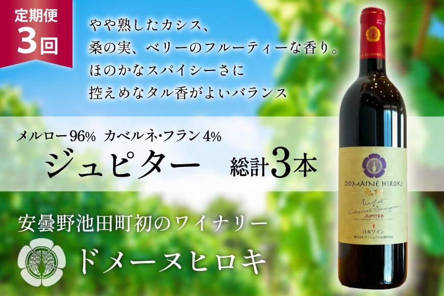 3回 定期便 ワイン ジュピター 750ml×1本 計3本 [ ヴィニョブル安曇野(ドメーヌ・ヒロキ) 長野県 池田町 48110812] ワイン 赤 赤ワイン