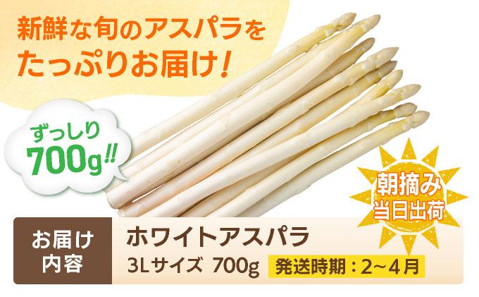 数量限定 ホワイトアスパラガス 3L 700g 朝採り 朝採れ 直送 ホワイトアスパラガス アスパラ【2月～4月お届け】 BT01w