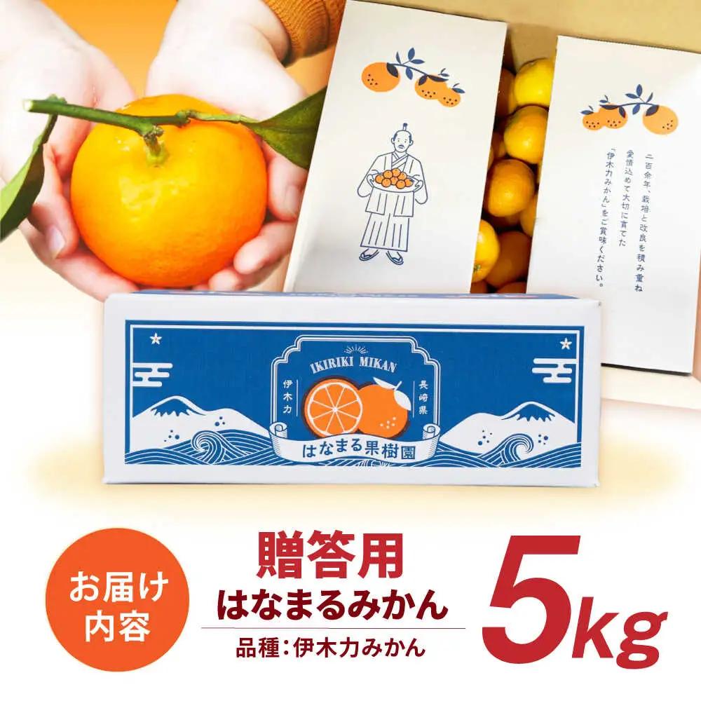 ※【2026年11月下旬より順次発送／先行予約】伊木力みかん「はなまるみかん」(贈答用) 5kg / 伊木力みかん みかん 蜜柑 ミカン 柑橘 果物 フルーツ / 諫早市 / 株式会社山野果樹園 [A